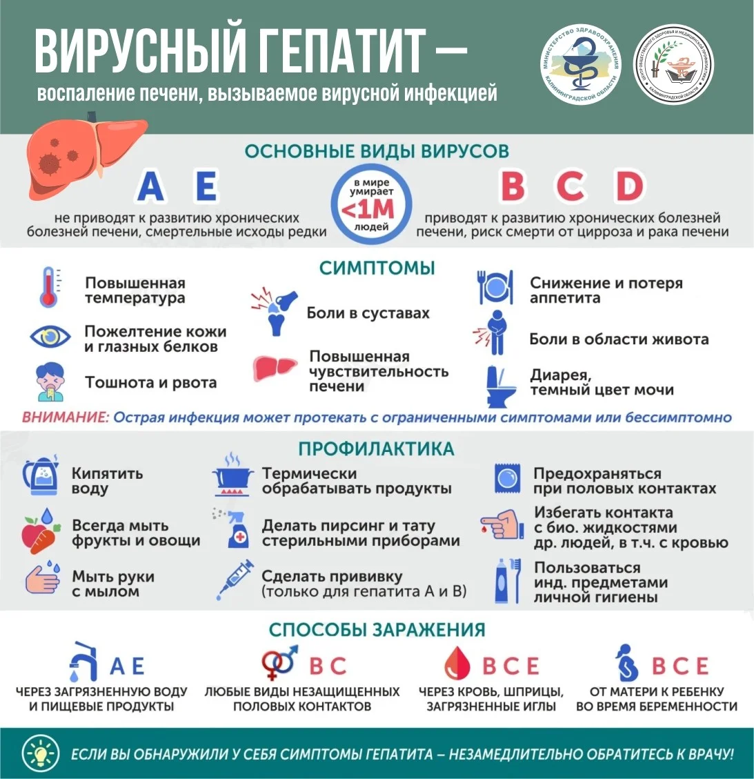 Профилактика вирусных гепатитов