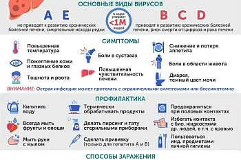 Профилактика вирусных гепатитов