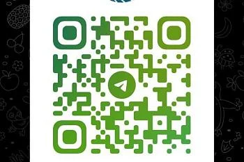 Онкоцентр запустил чат для пациентов Онкоцентр запустил чат для пациентов