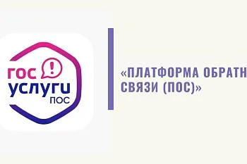 Куда писать обращения?