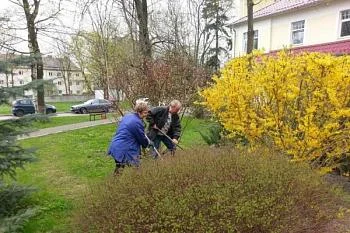 Медицинские организации региона провели месячник по благоустройству