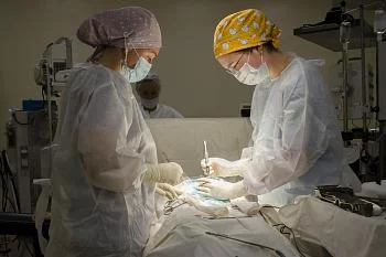 В онкологическом центре Калининградской области прошла серия гинекологических операций по удалению объемных опухолей